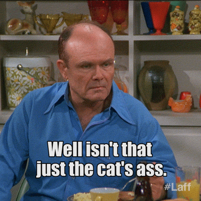 70s show GIF