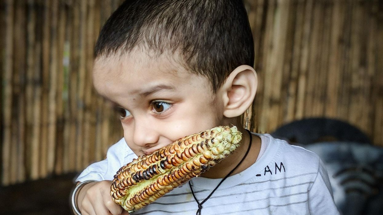 A child eating a burnt corn on the cob