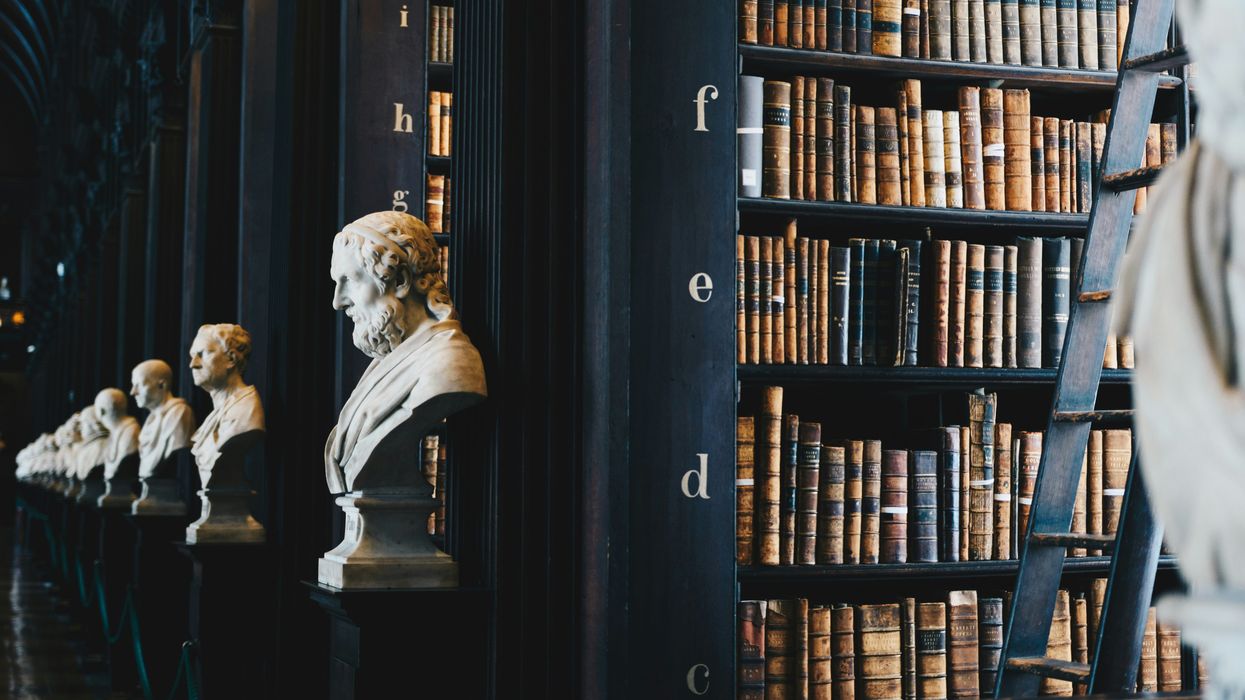 A line of busts along bookshelves of ancient books
