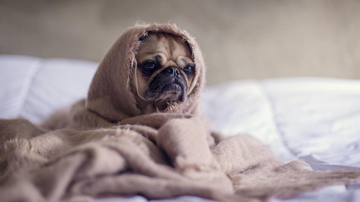 People Explain Which Movies Made Them Think, 'Holy Sh*t, There's Still 50 Minutes Left?'