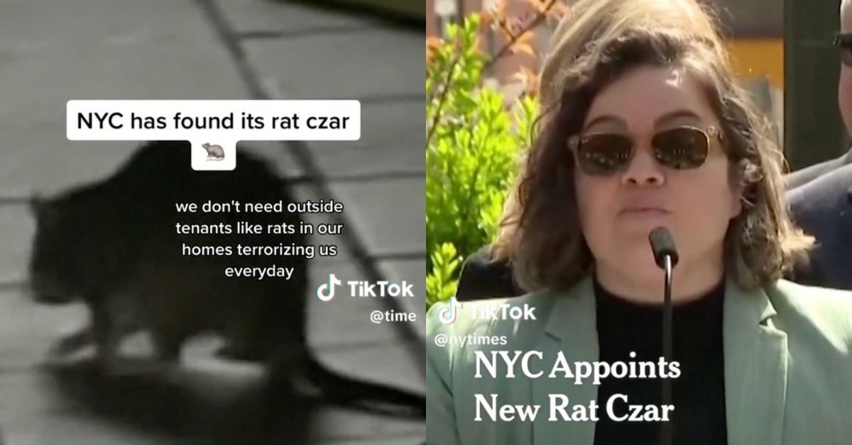 A rat; Kathleen Corradi