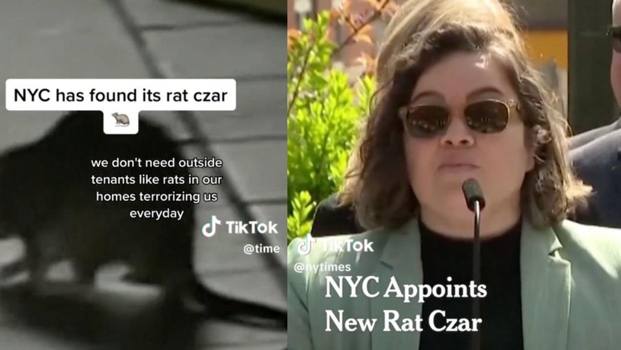 A rat; Kathleen Corradi