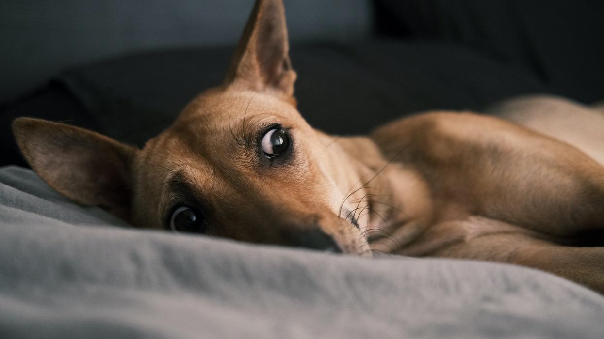 People Divulge Why They Lost All Interest In Someone They Were Pursuing