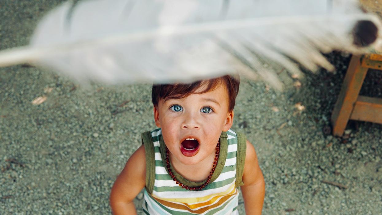A young child looks up in wonder as a feather falls down on him.