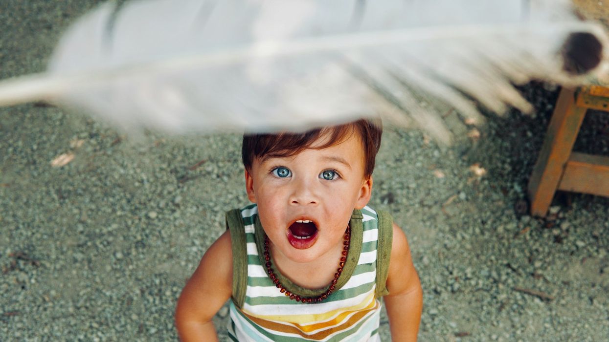 A young child looks up in wonder as a feather falls down on him.