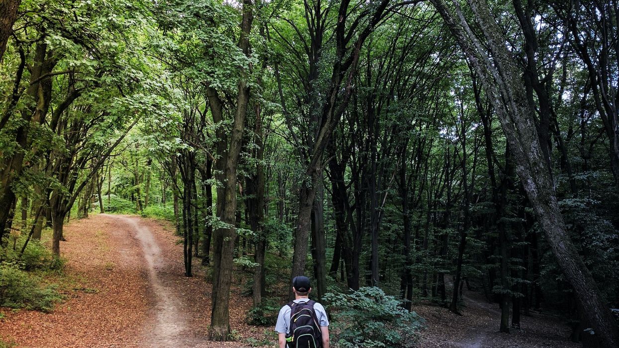 A young man stands at a crossroads in the woods