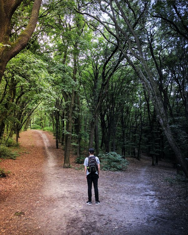 A young man stands at a crossroads in the woods