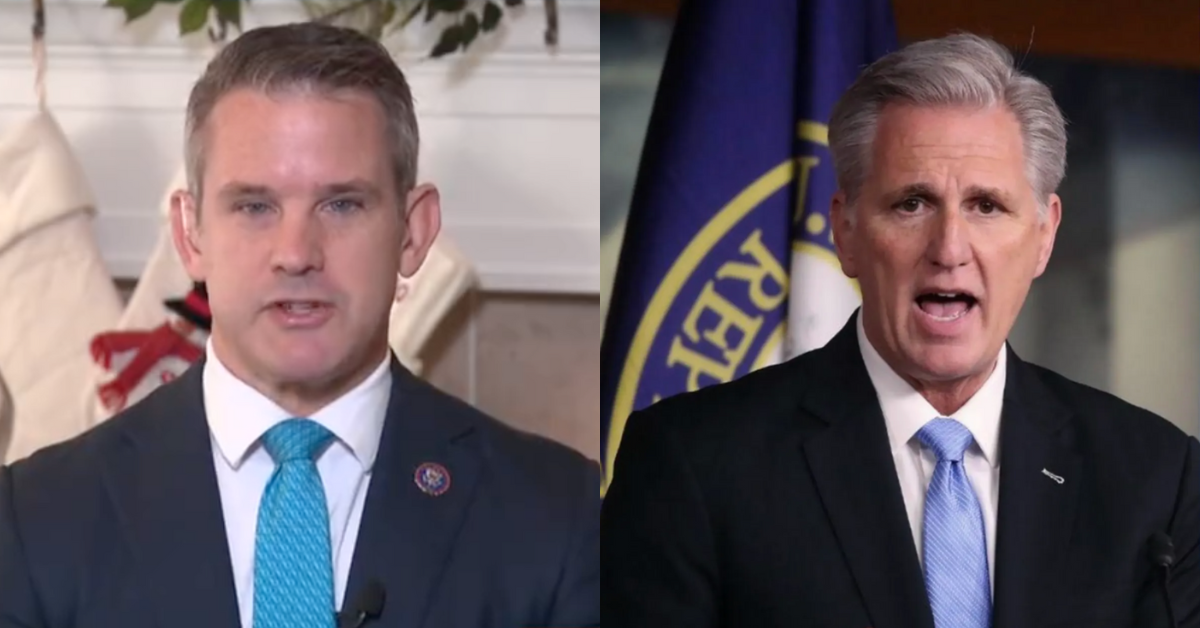 Adam Kinzinger; Kevin McCarthy