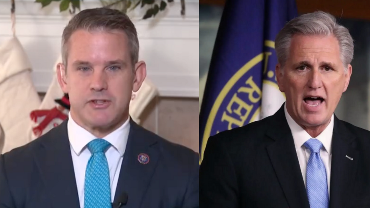 Adam Kinzinger; Kevin McCarthy