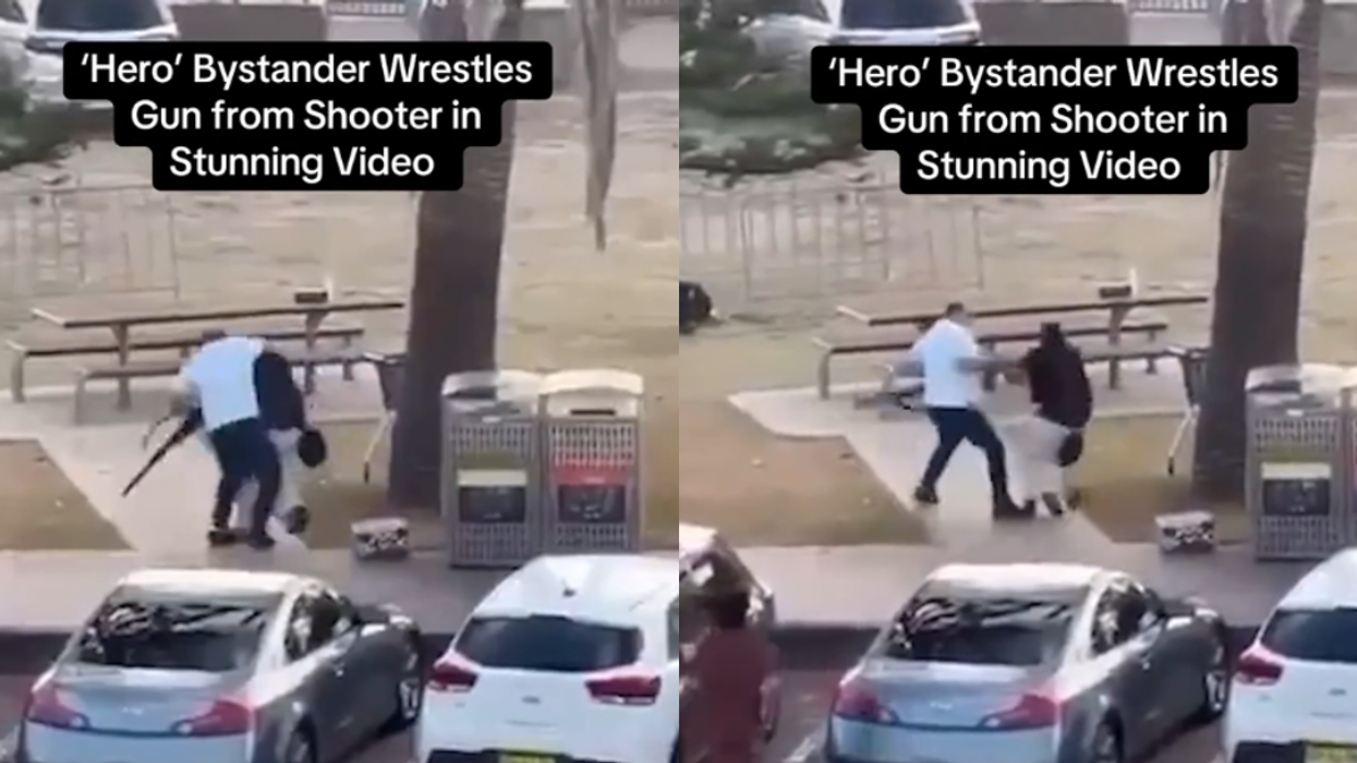 Ahmed al-Ahmed confronting Bondi Beach gunman