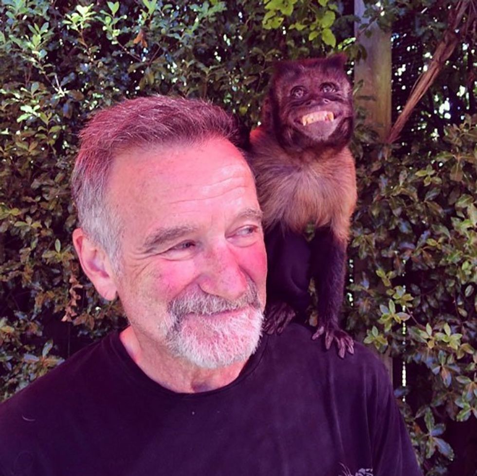 AI -generated image of Robin Williams with a monkey