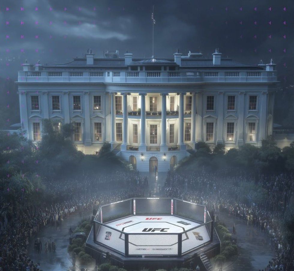 AI-generated image of UFC fight on White House lawn