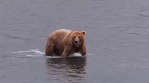 Alaska GIF