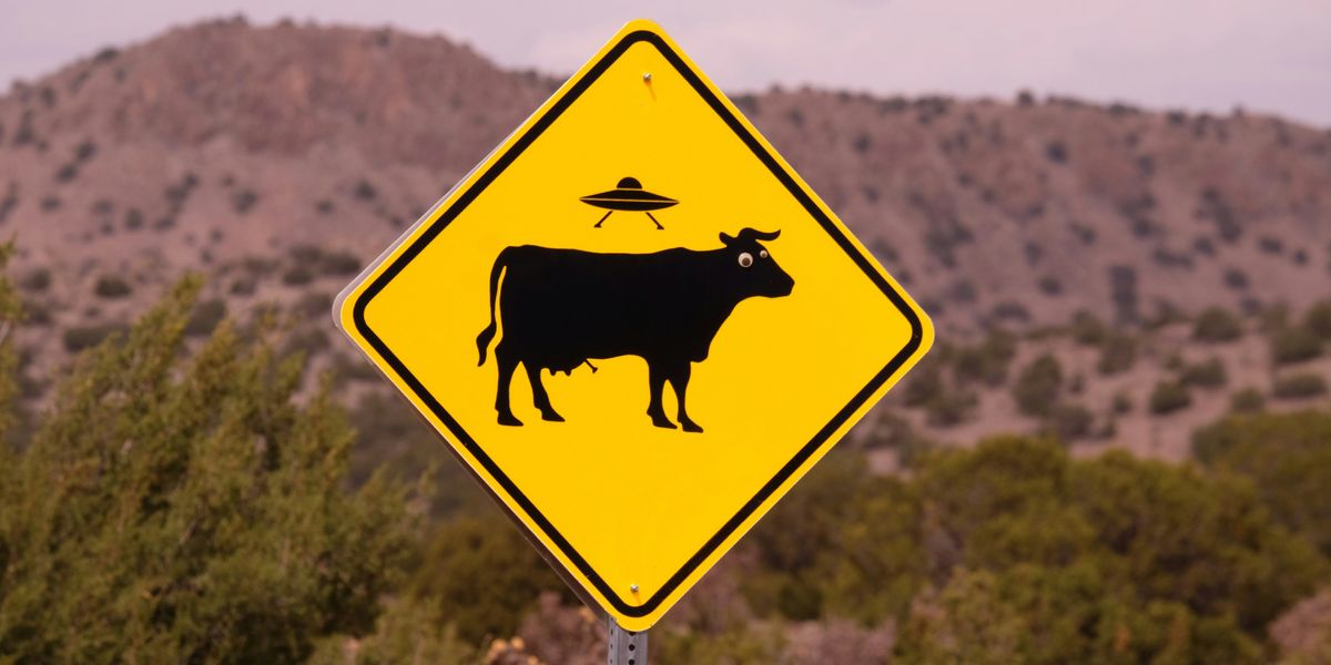 alien crossing sign