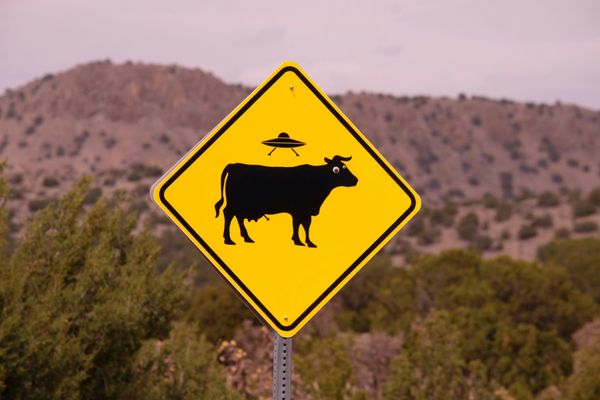 alien crossing sign