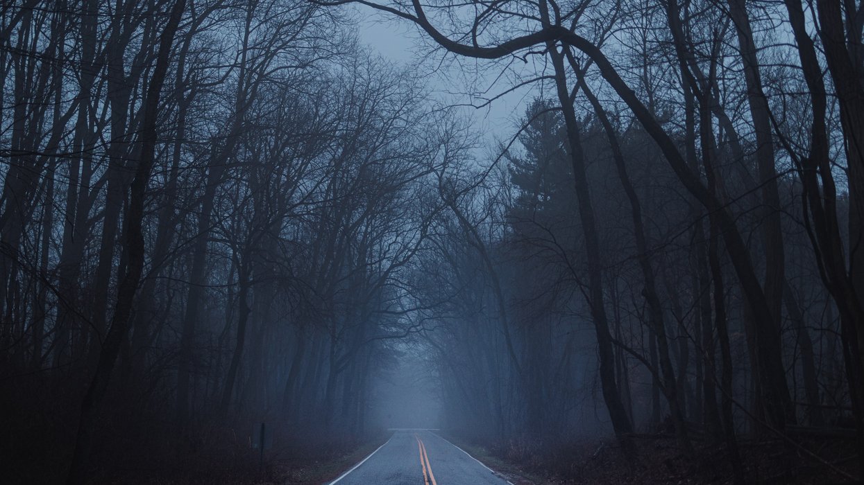 an empty road in the middle of a foggy forest