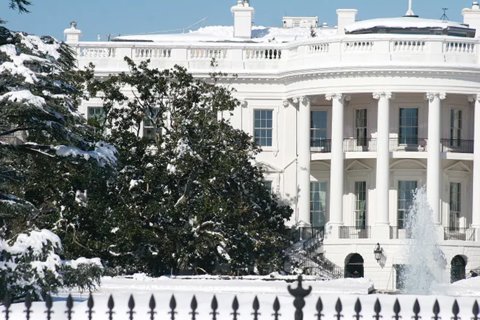 Andrew Jackson's magnolia tree on the south side of the White House