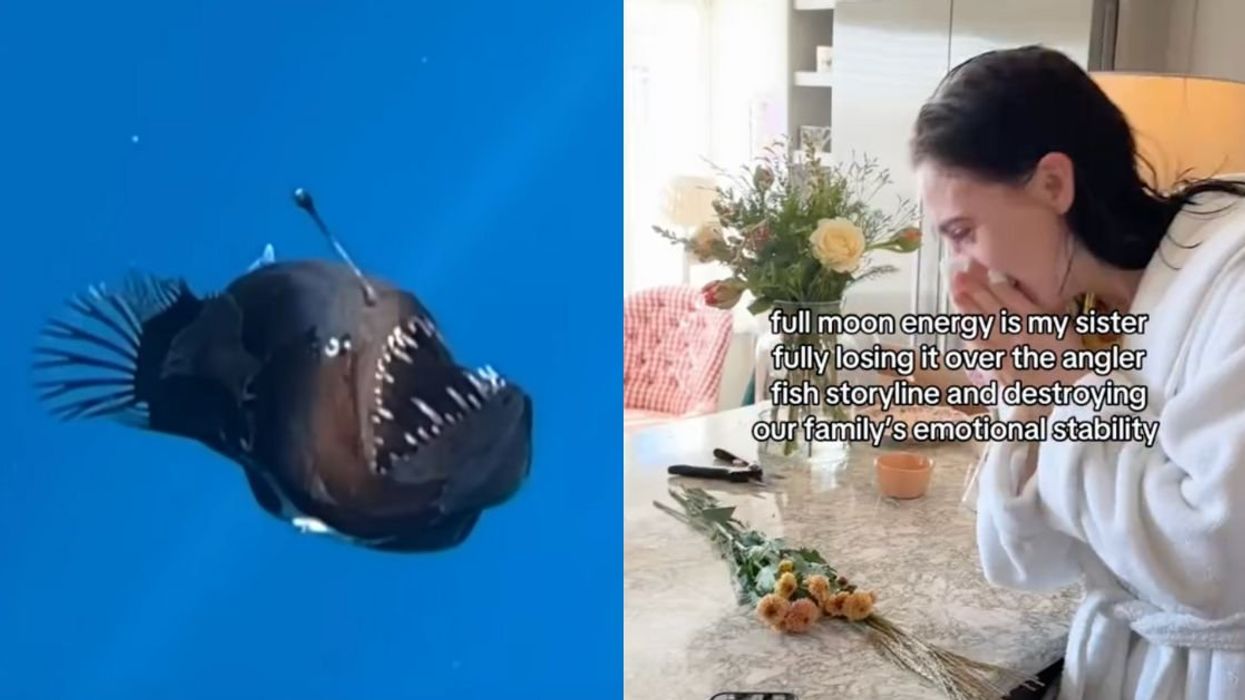 Anglerfish; woman crying in TikToker @oliviasmind's video