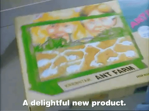 ant farm GIF