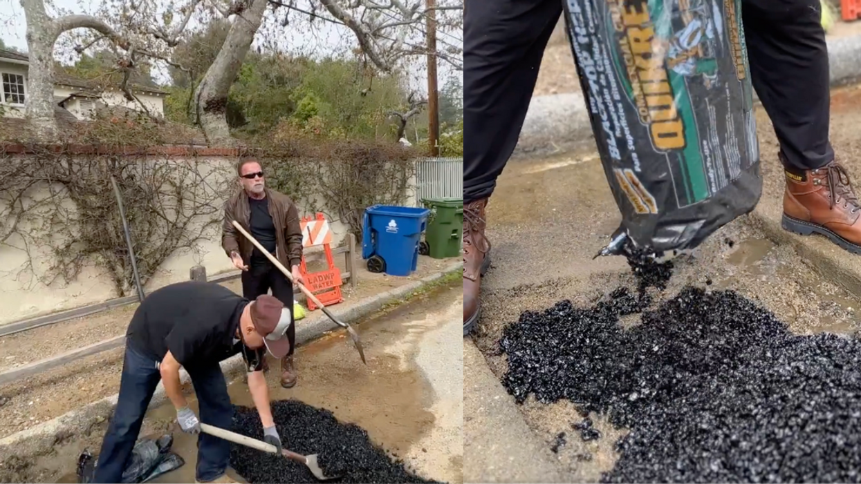 Arnold Schwarzenegger patches pavement in his Brentwood, California neighborhood