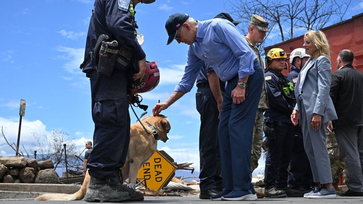 Biden petting search and rescue dog in Maui