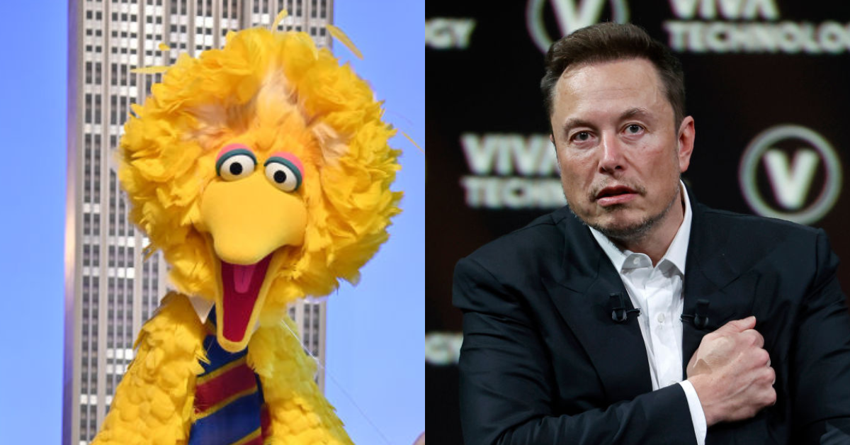 Big Bird; Elon Musk