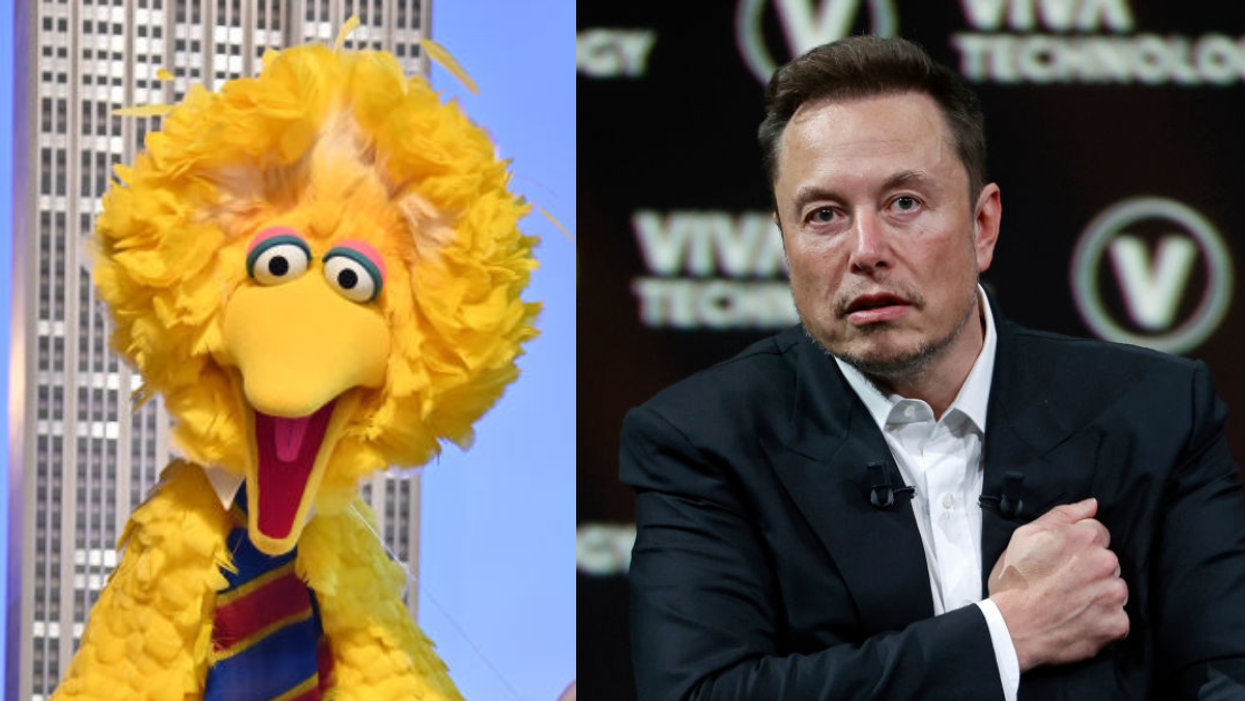 Big Bird; Elon Musk