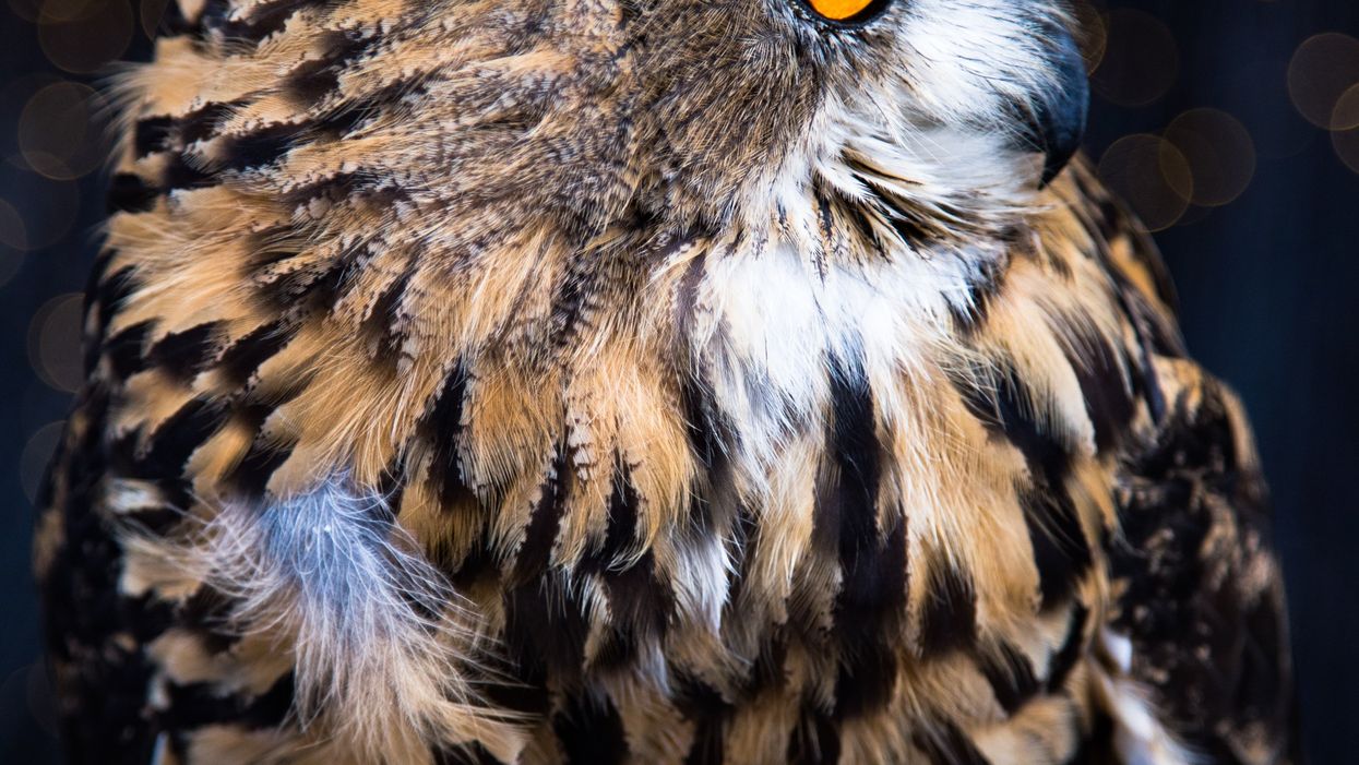 Night Owls Break Down The Most Horrifying Thing They've Ever Seen While Up Late