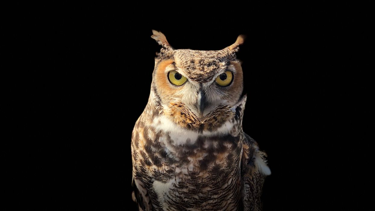 People Share The Wisest Life Lesson They've Ever Learned