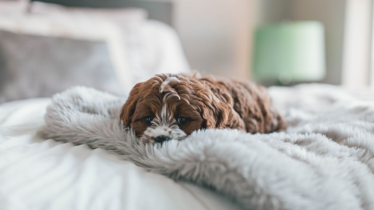 People Break Down The Laziest Thing They Have Ever Done