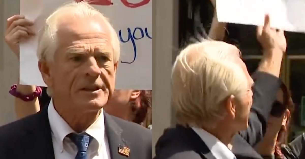 C-SPAN screenshot of Peter Navarro; C-SPAN screenshot of Navarro's attempt to grab a protester's sign