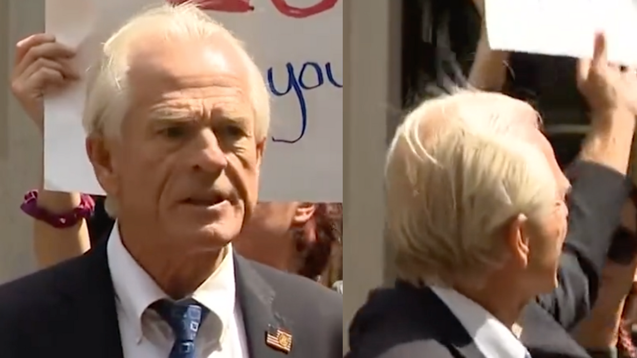 C-SPAN screenshot of Peter Navarro; C-SPAN screenshot of Navarro's attempt to grab a protester's sign
