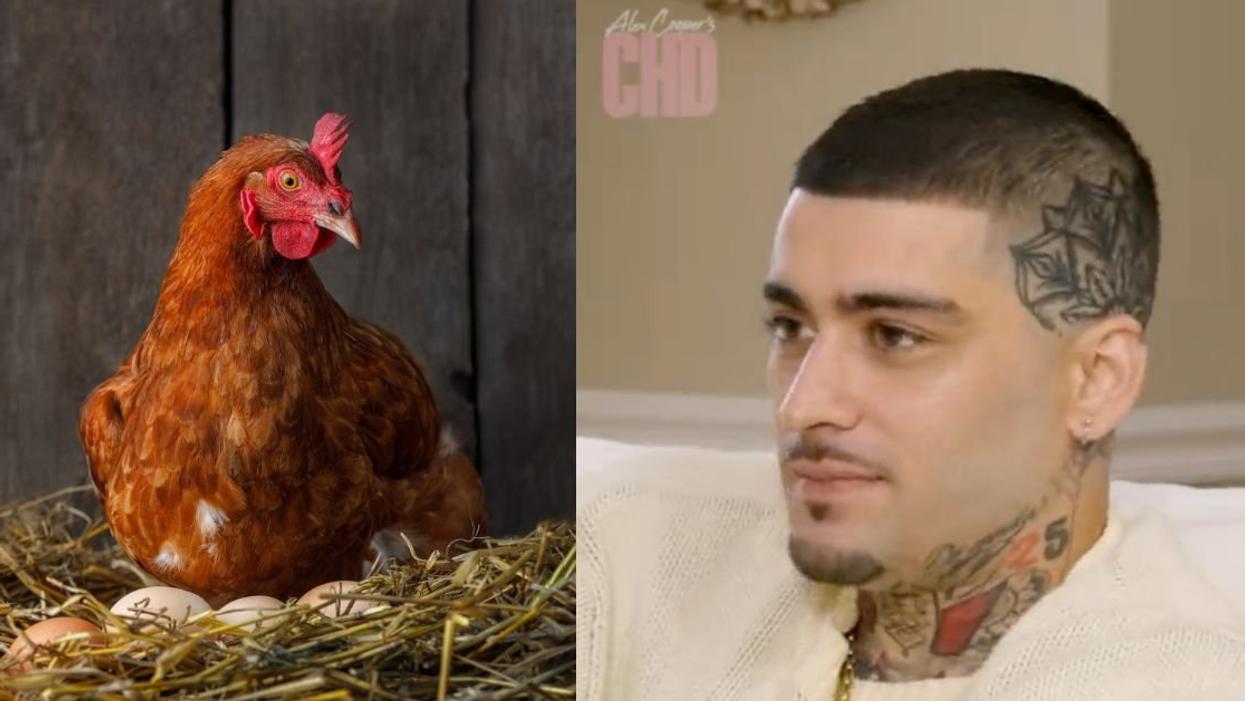 Chicken; Zayn Malik