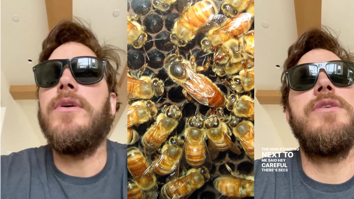 Chris Pratt and hive with bees