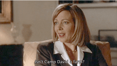 CJ Cregg GIF