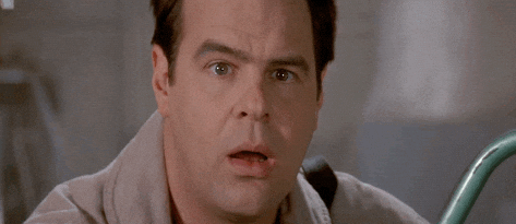 Dan Aykroyd GIF by Ghostbusters