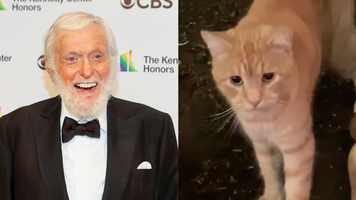Dick Van Dyke; Bobo the cat