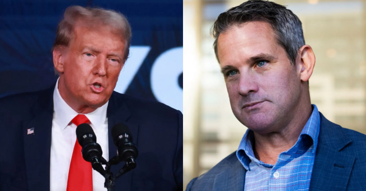 Donald Trump; Adam Kinzinger