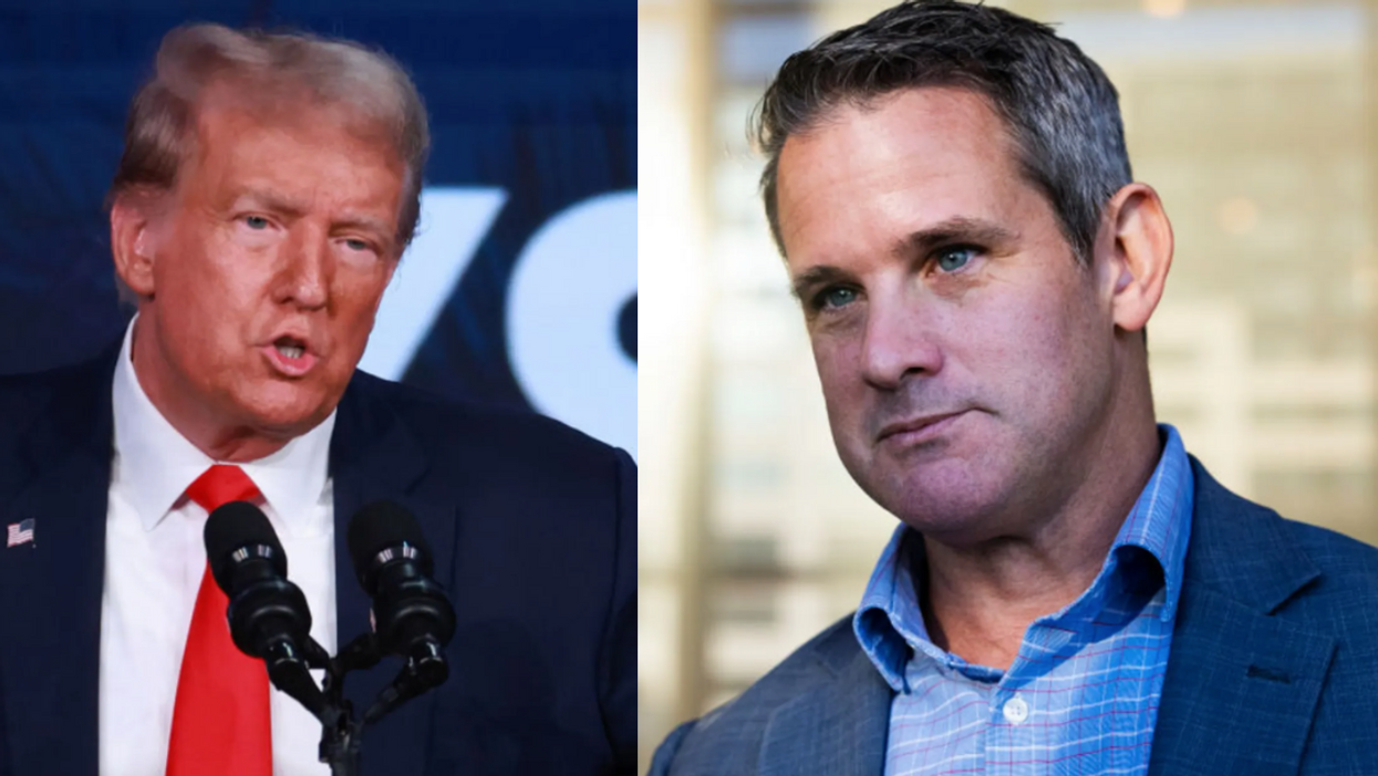 Donald Trump; Adam Kinzinger