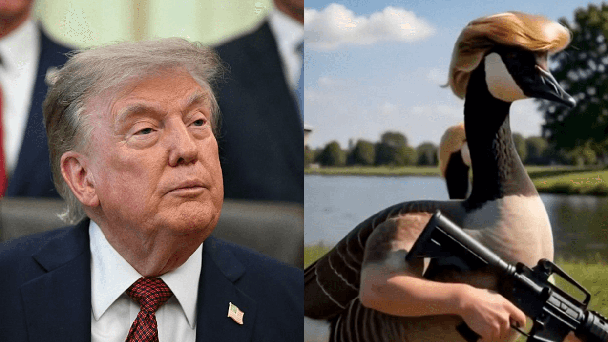 Donald Trump; Canada goose carrying weapon from Donald Trump's AI video