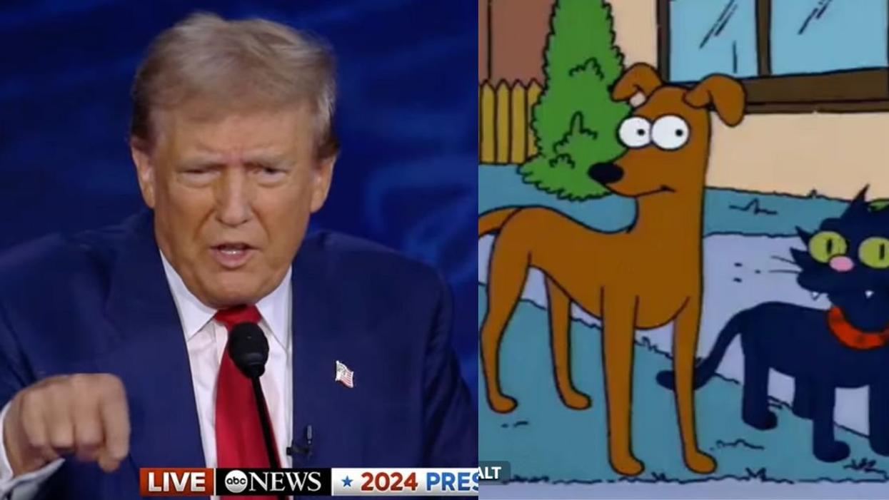 Donald Trump during 2024 presidential debate; A dog and cat cartoon image from "The Simpsons"