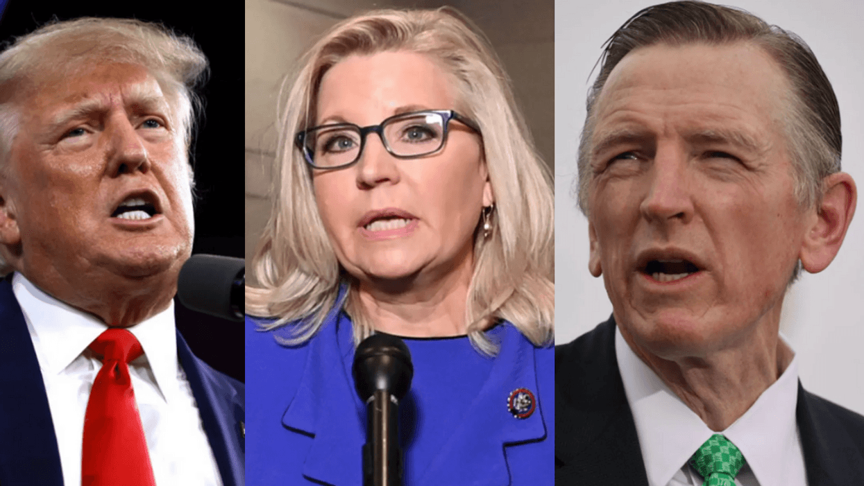 Donald Trump; Liz Cheney; Paul Gosar