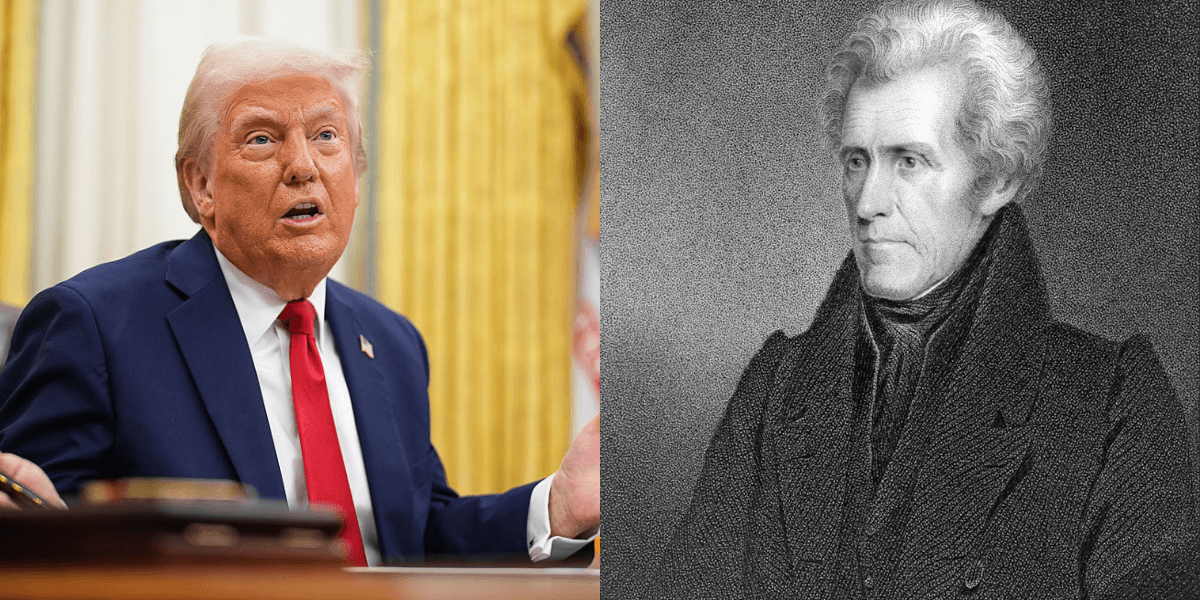 Trump Jackson Trump To Chop Down Andrew Jackson Magnolia Tree - Comic Sands