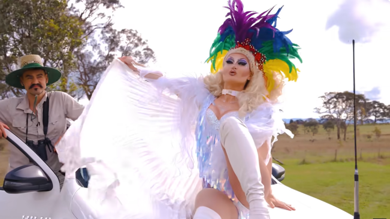 Drag queens featured in scientific video about kangaroos