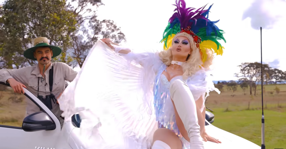 Drag queens featured in scientific video about kangaroos