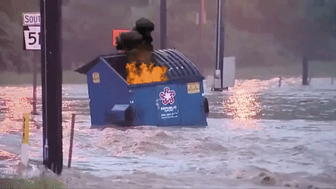 dumpster fire GIF by MOODMAN