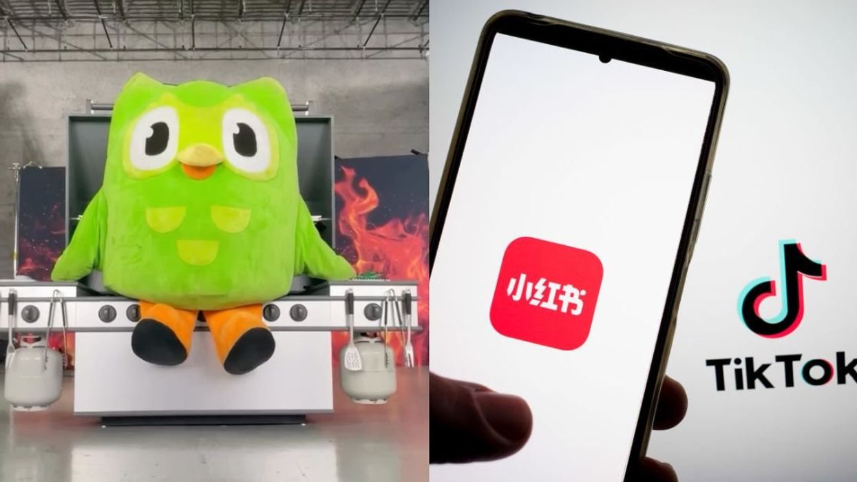 Duolingo owl mascot; RedNote logo on a smartphone screen against TikTok logo on computer screen