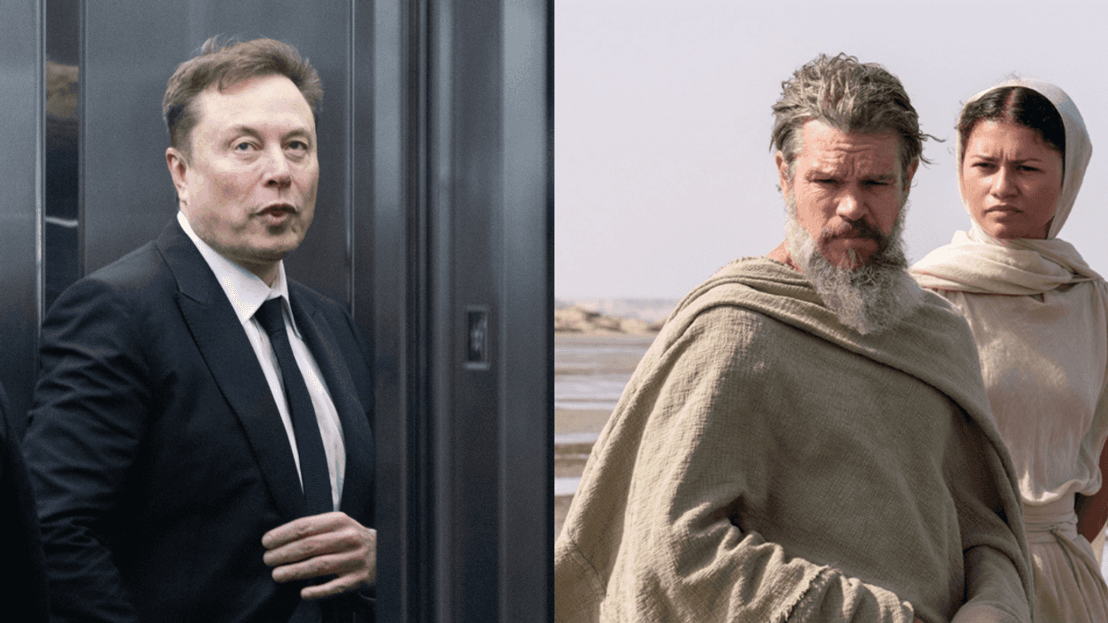 Elon Musk; Matt Damon and Zendaya