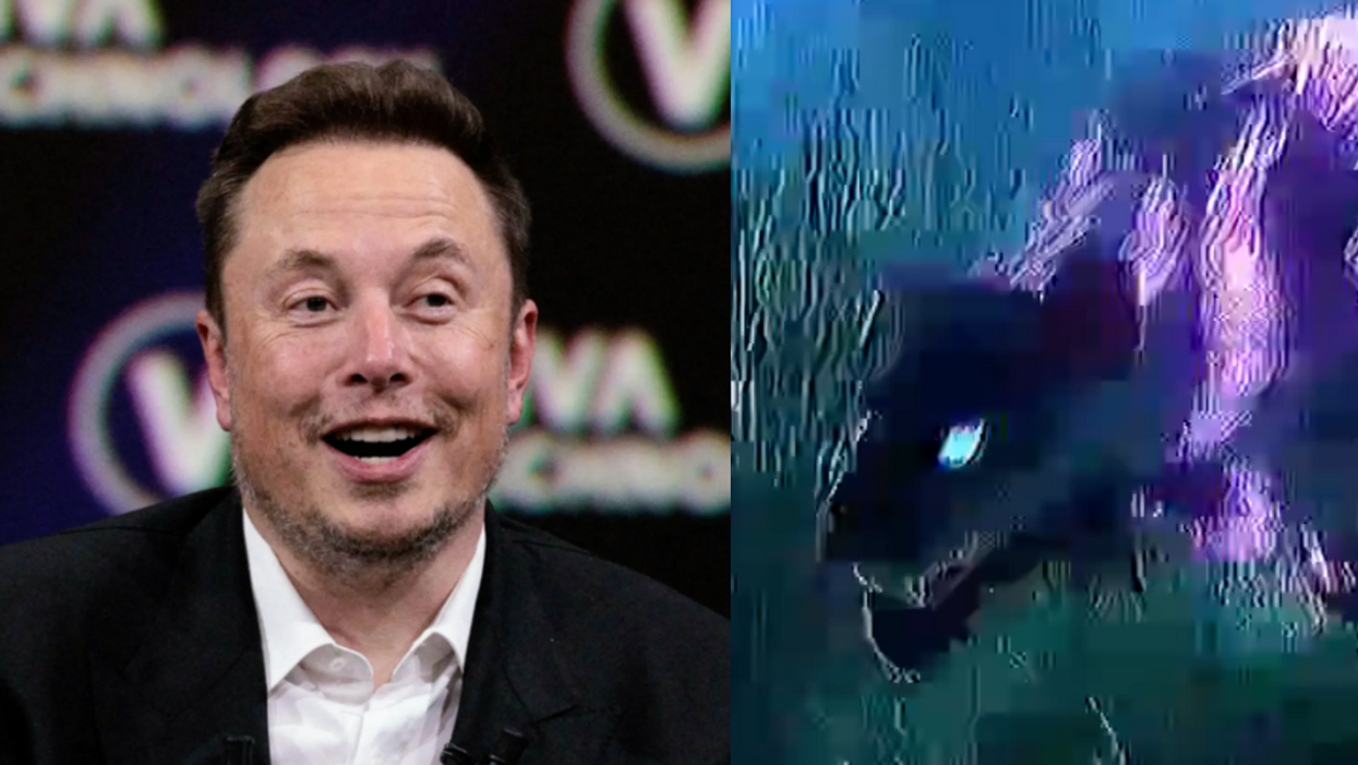 Elon Musk; Screenshot of panther from X promo video