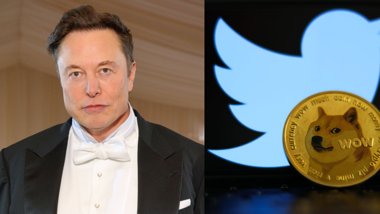 Elon Musk; Twitter logo and Dogecoin logo